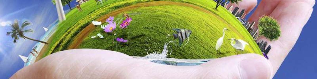 environmental-sustainability